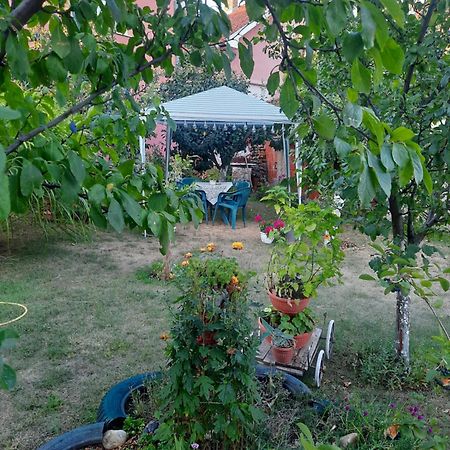 Apartman Drina Berilovac Extérieur photo